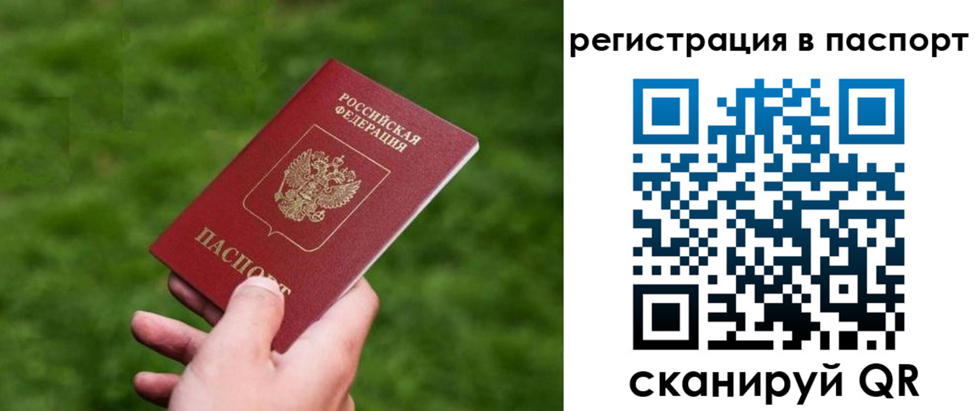 пропишу в квартире в Суворове
